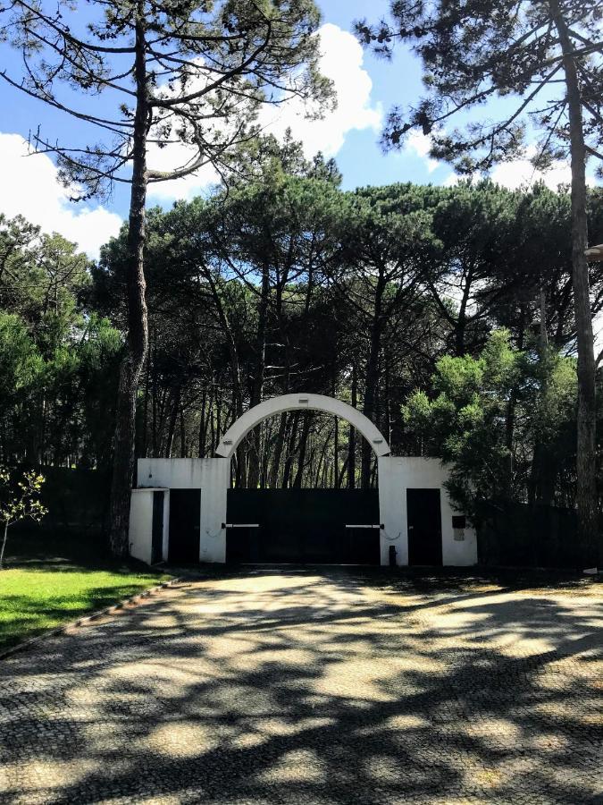 Villa Colares Синтра Екстериор снимка