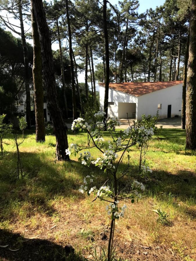 Villa Colares Синтра Екстериор снимка